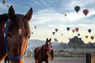 Luxury Turkey Honeymoon Tour: Istanbul, Cappadocia & Bodrum